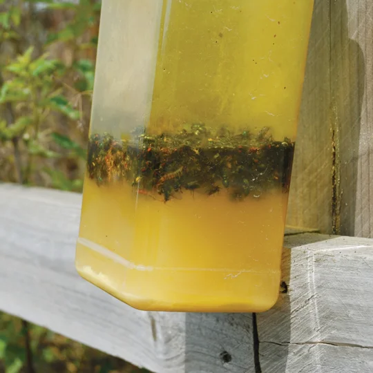 Outdoor fly trap