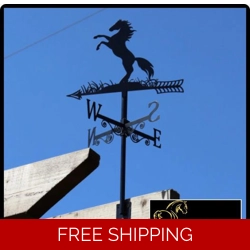 Weathervane horse