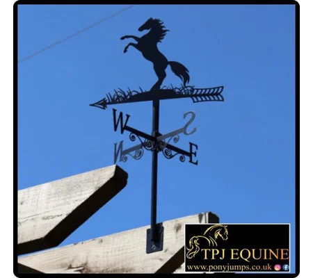 Weathervane horse