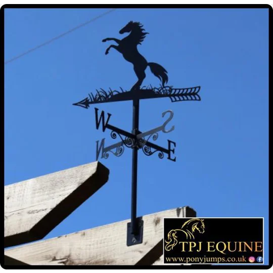Weathervane horse