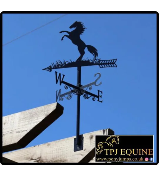 Weathervane horse