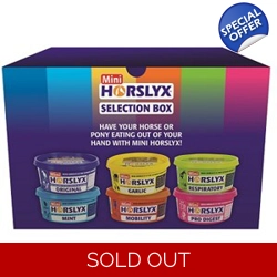 Rainbow Horslyx