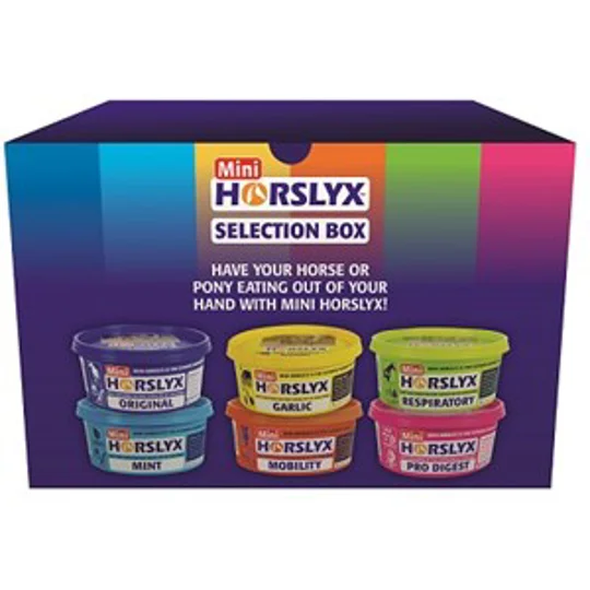 Rainbow Horslyx