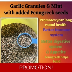 Garlic, Mint and Fenugreek