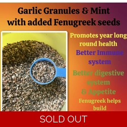 Garlic, Mint and Fenugreek