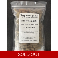 Minty Treats / Nuggets