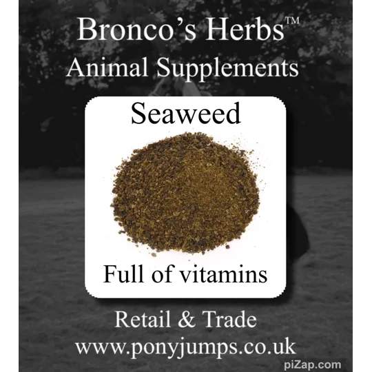 Seaweed