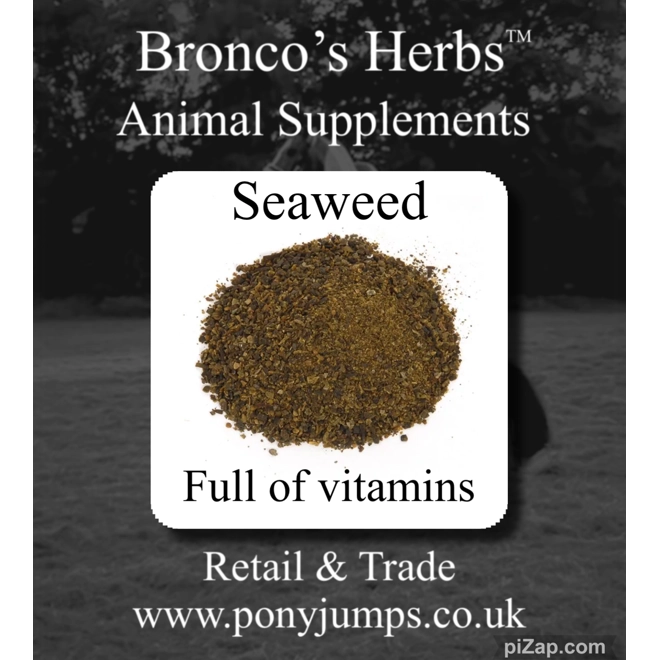 Additional Image for Seaweed