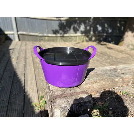 Feed bucket and lids