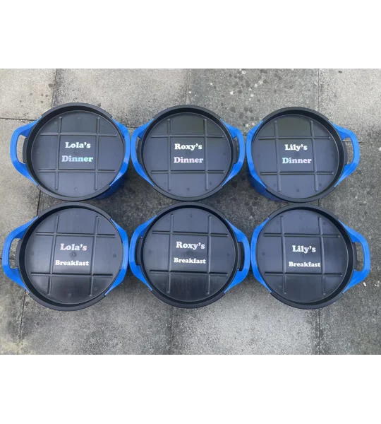 Personalized feed buckets x 2