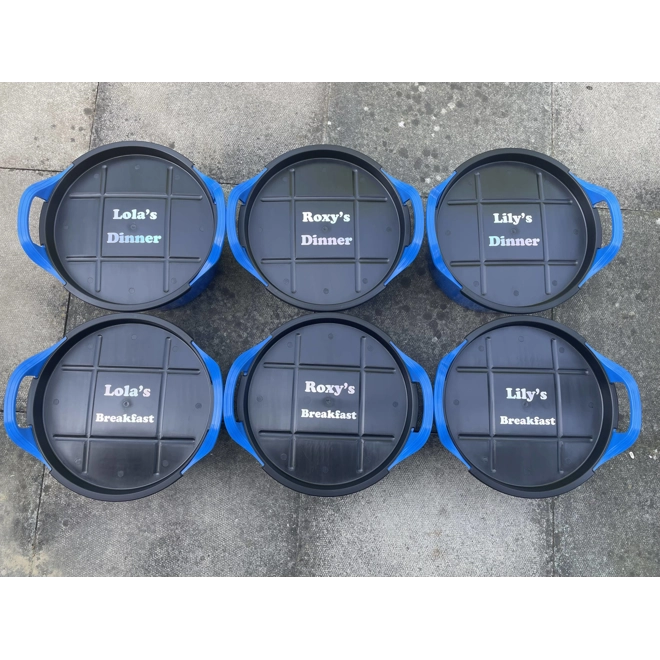 Additional Image for Personalized feed buckets x 2