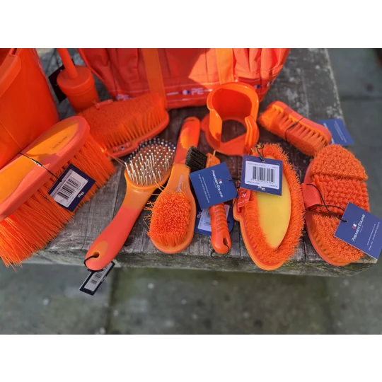 Burst of Orange Set