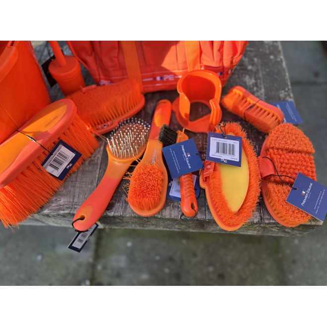 Additional Image for Burst of Orange Set