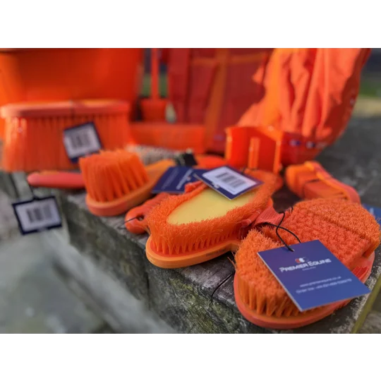 Burst of Orange Set