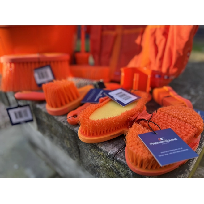 Additional Image for Burst of Orange Set