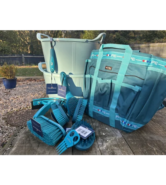 Duck & Peacock set
