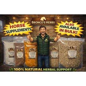 Horse Supplements