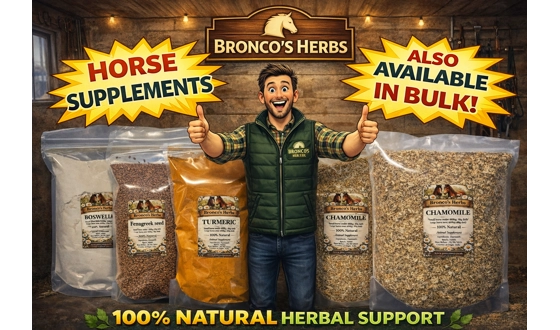 Category Image for Horse Supplements