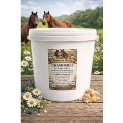 Chamomile