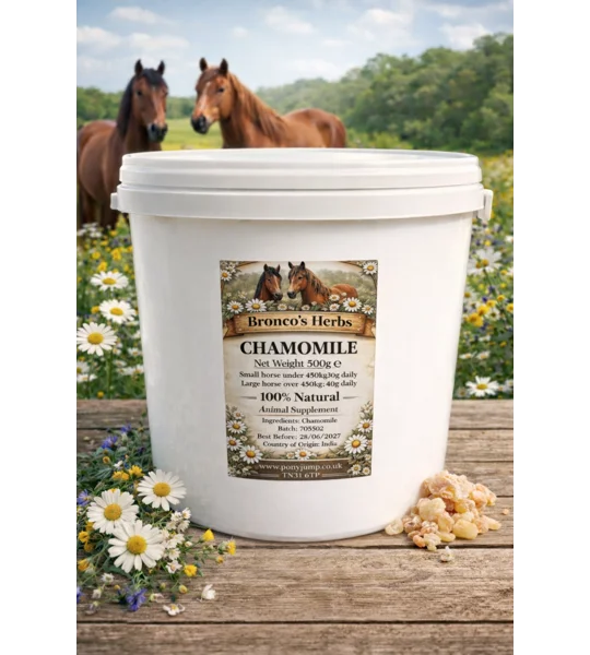 Chamomile