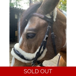 TPJ Equine Tag