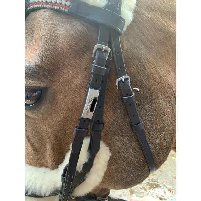 Additional Image for TPJ Equine Tag