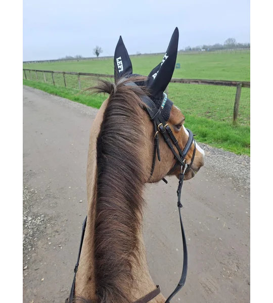Printed ears / fly veil