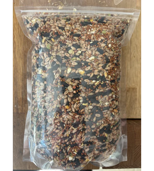 Bird Seed