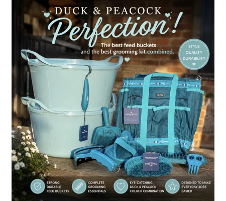 Duck & Peacock set