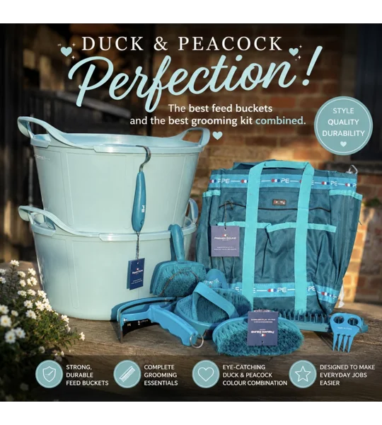 Duck & Peacock set