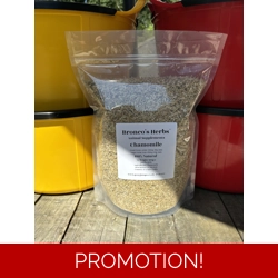 Chamomile