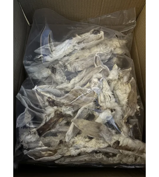 Dried Rabbit Ears