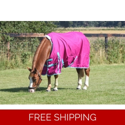 Light weight no fill rug Raspberry