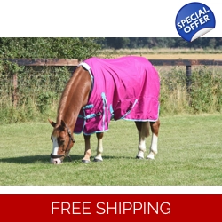 Light weight no fill rug Raspberry