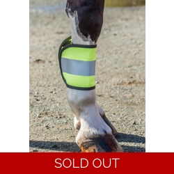 HIGH VISIBILITY HORSE LEG WRAPS