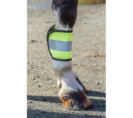 HIGH VISIBILITY HORSE LEG WRAPS