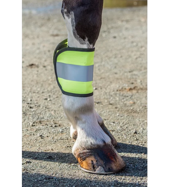 HIGH VISIBILITY HORSE LEG WRAPS