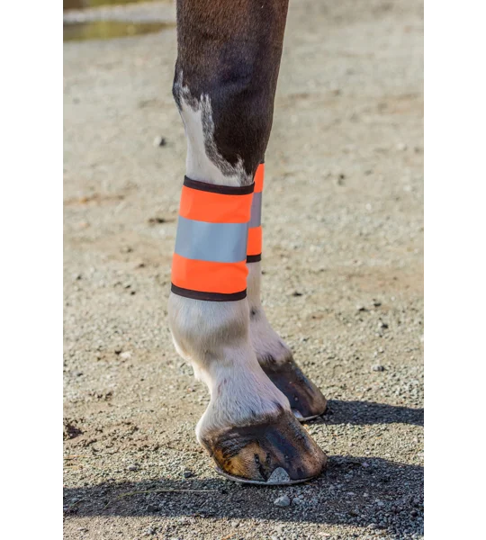 HIGH VISIBILITY HORSE LEG WRAPS