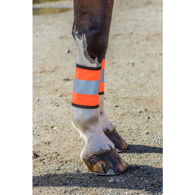 Additional Image for HIGH VISIBILITY HORSE LEG WRAPS