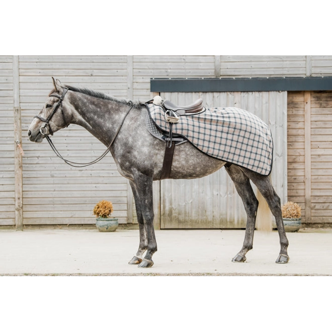 Additional Image for Tartan fleece exercise sheet