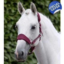 Necto 3D Mesh Head Collar with Lead Rope Burgundy