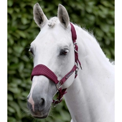 Necto 3D Mesh Head Collar with Lead Rope Burgundy