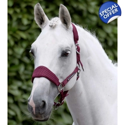 Necto 3D Mesh Head Collar with Lead Rope Burgundy