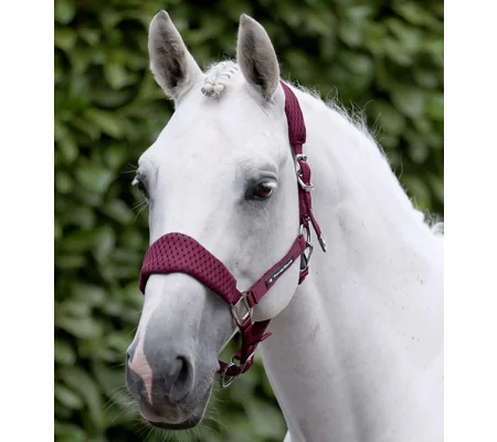 Necto 3D Mesh Head Collar with Lead Rope Burgundy