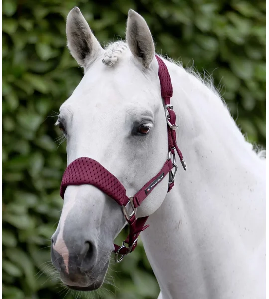Necto 3D Mesh Head Collar with Lead Rope Burgundy