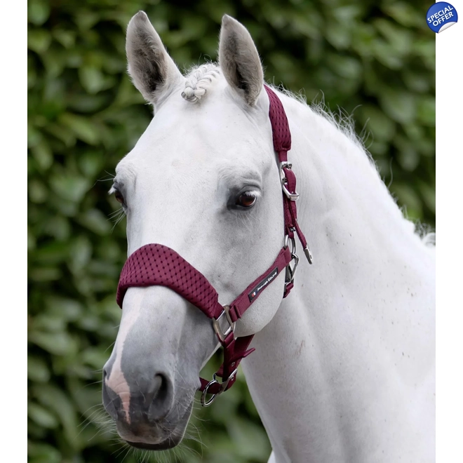 product Image for Necto 3D Mesh Head Collar with Lead Rope Burgundy