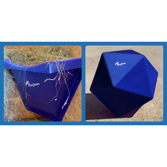 Feeder and treat ball combo