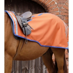 Stratus Horse Exercise Sheet Orange