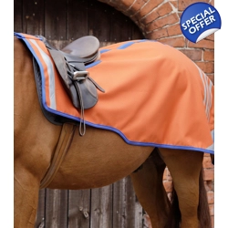 Stratus Horse Exercise Sheet Orange