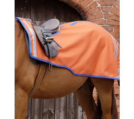 Stratus Horse Exercise Sheet Orange